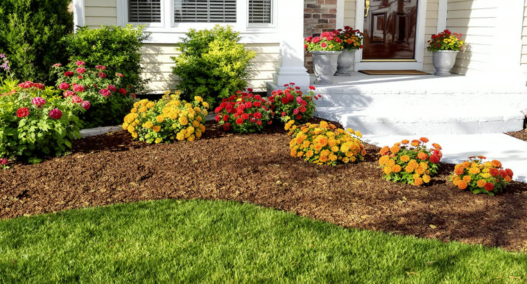 Fresh mulch and a clean planting bed