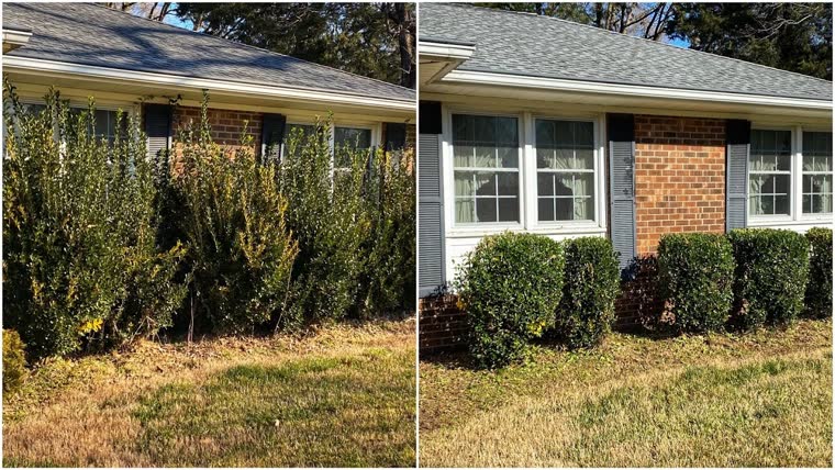 A tidy front yard after a cleanup